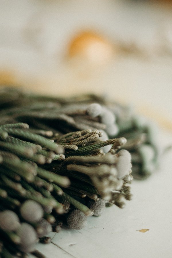 Comment grandir de 10 cm à  16 ans ?