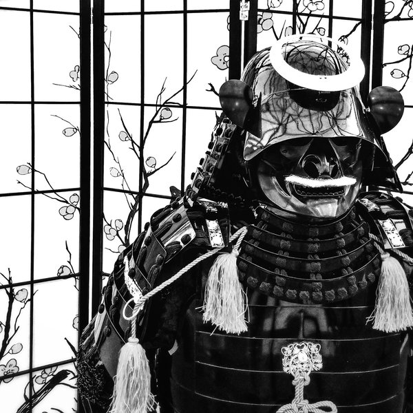 Comment développer une force explosive pour les arts martiaux ?